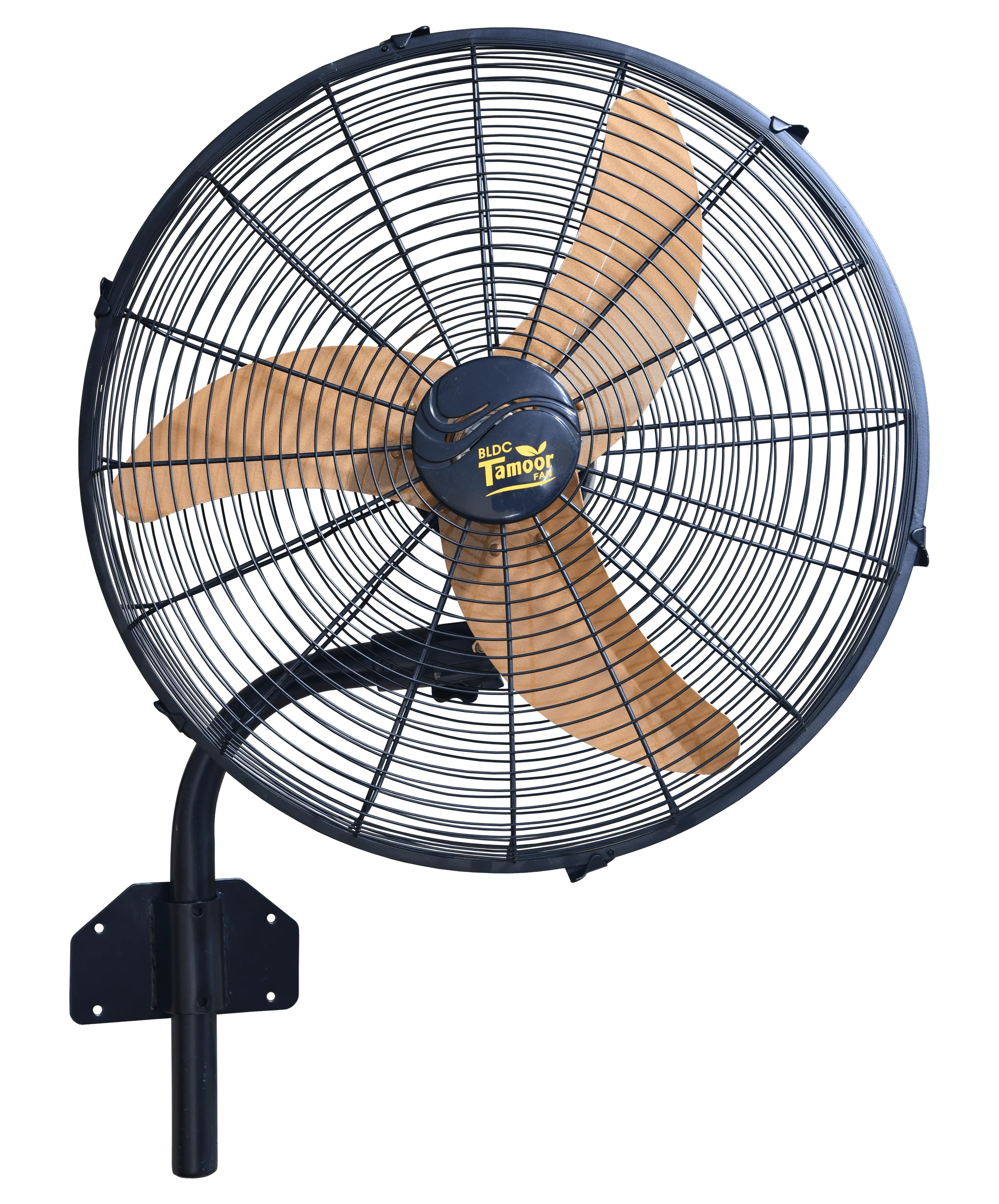 Fan Image 4